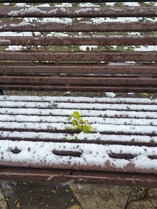 20260428 111014%281%29